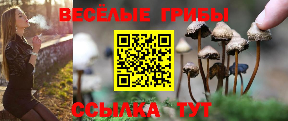 Наро-Фоминск  Псилоцибиновые грибы Magic Shrooms  Вход с VPN  Галлюциногенные грибы мухоморы 